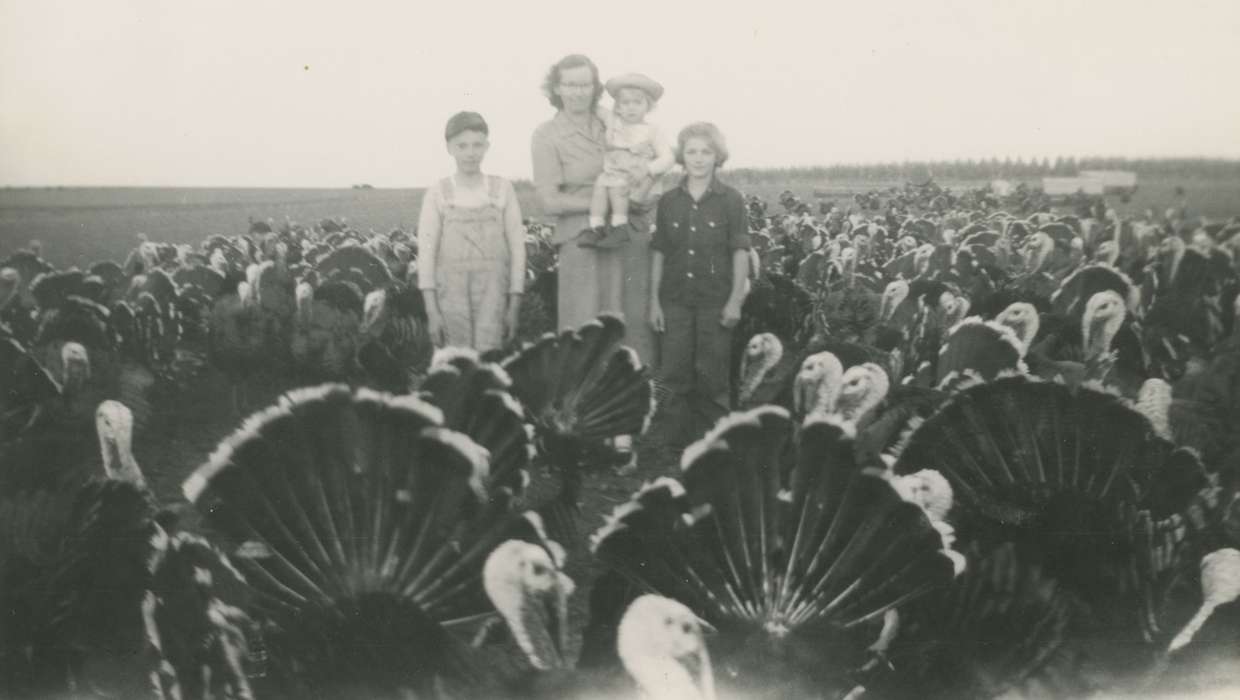 turkey, history of Iowa, Iowa History, Families, mother, Animals, Wickwire (Uker), Cheryl, Iowa, Farms, Children, toddler, USA