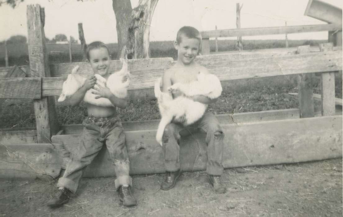 pets, history of Iowa, Iowa History, Decorah, IA, puppy, Animals, brothers, Logsdon, Teryl, Iowa, Farms, Children, dog