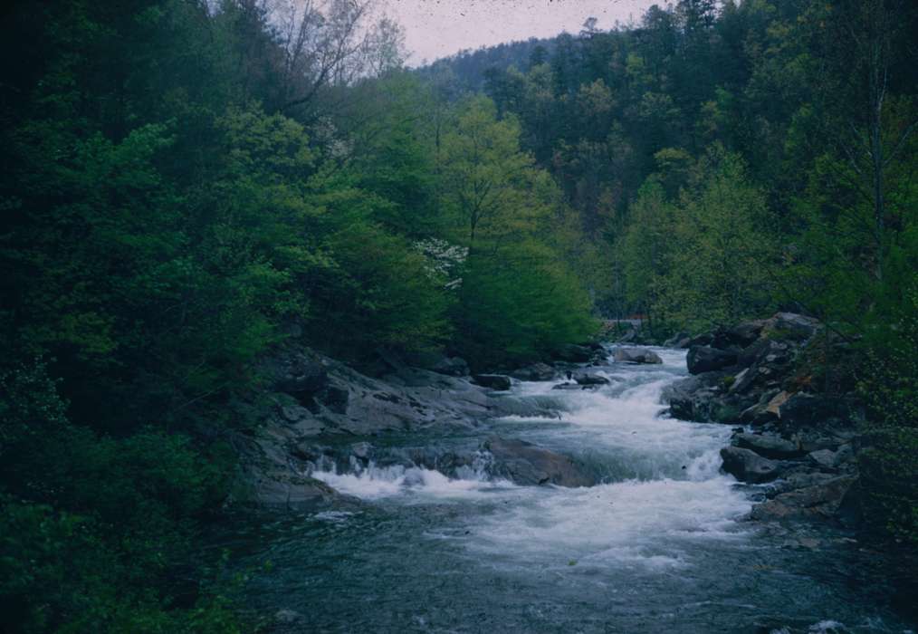 Travel, forest, history of Iowa, Iowa History, Harken, Nichole, Lakes, Rivers, and Streams, stream, Iowa, Landscapes
