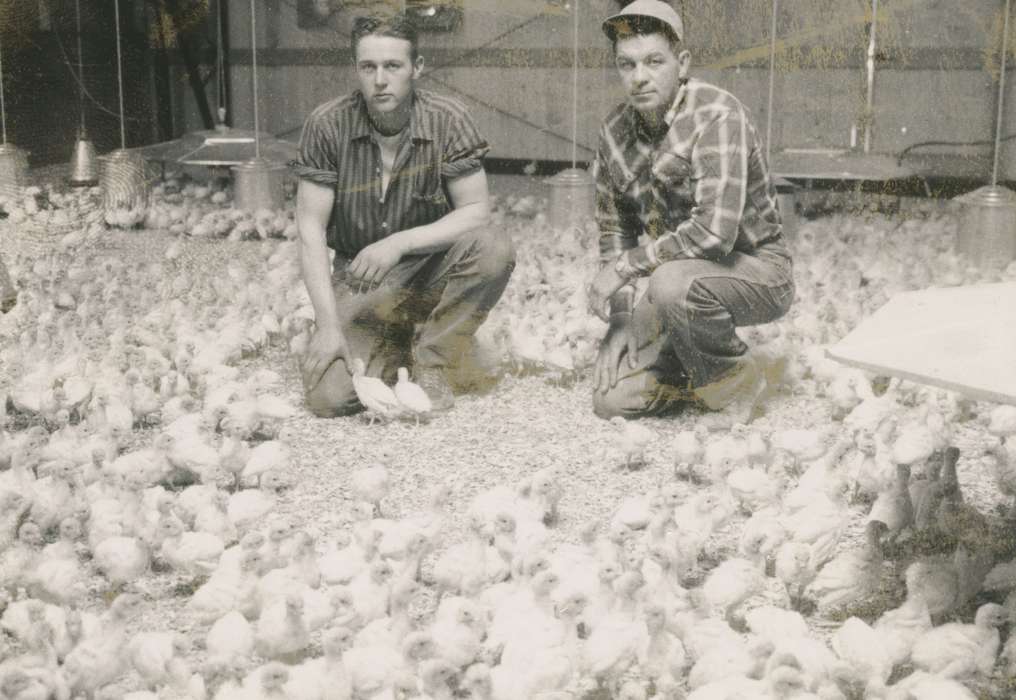 Portraits - Group, turkey, history of Iowa, Iowa History, Animals, capon, Wickwire (Uker), Cheryl, Iowa, Belmond, IA, Farms, Labor and Occupations