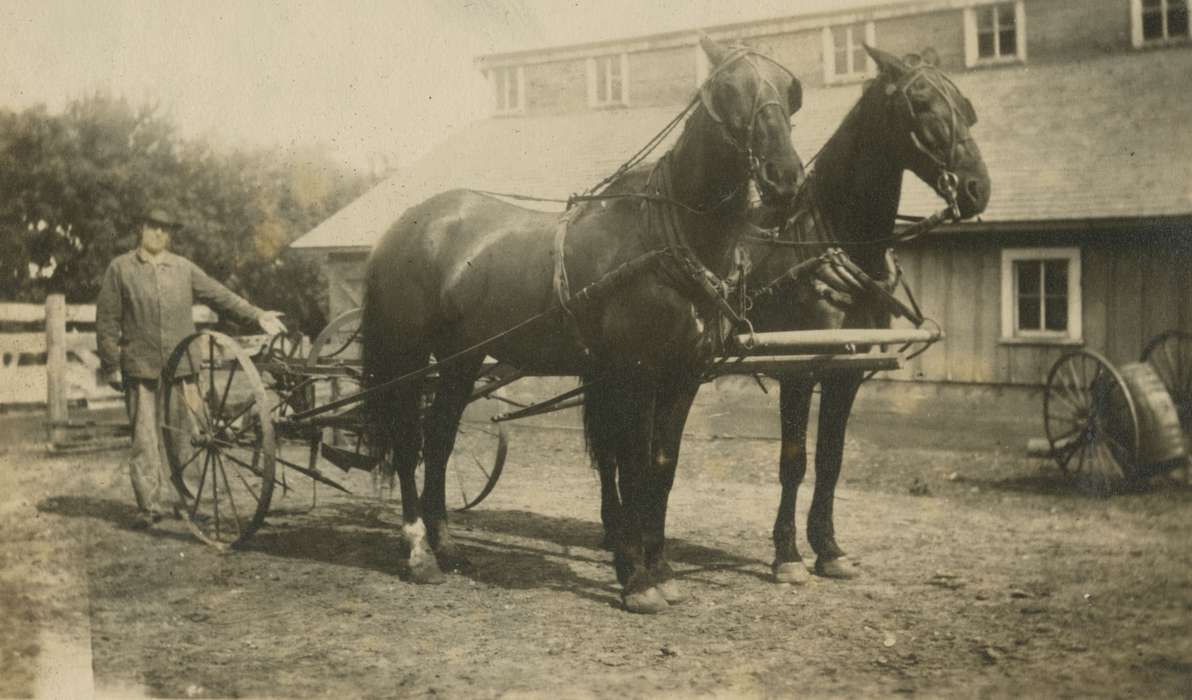 Animals, Iowa History, Mortenson, Jill, Iowa, Macey, IA, horse, Farms, history of Iowa