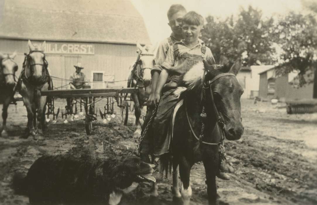 boys, dog, Mortenson, Jill, Farms, Barns, Animals, Iowa, Portraits - Group, Families, horseback riding, plow, Macey, IA, overalls, history of Iowa, hillcrest, horses, horse drawn, brothers, pony, field, Iowa History, Children, horse, barn, Farming Equipment