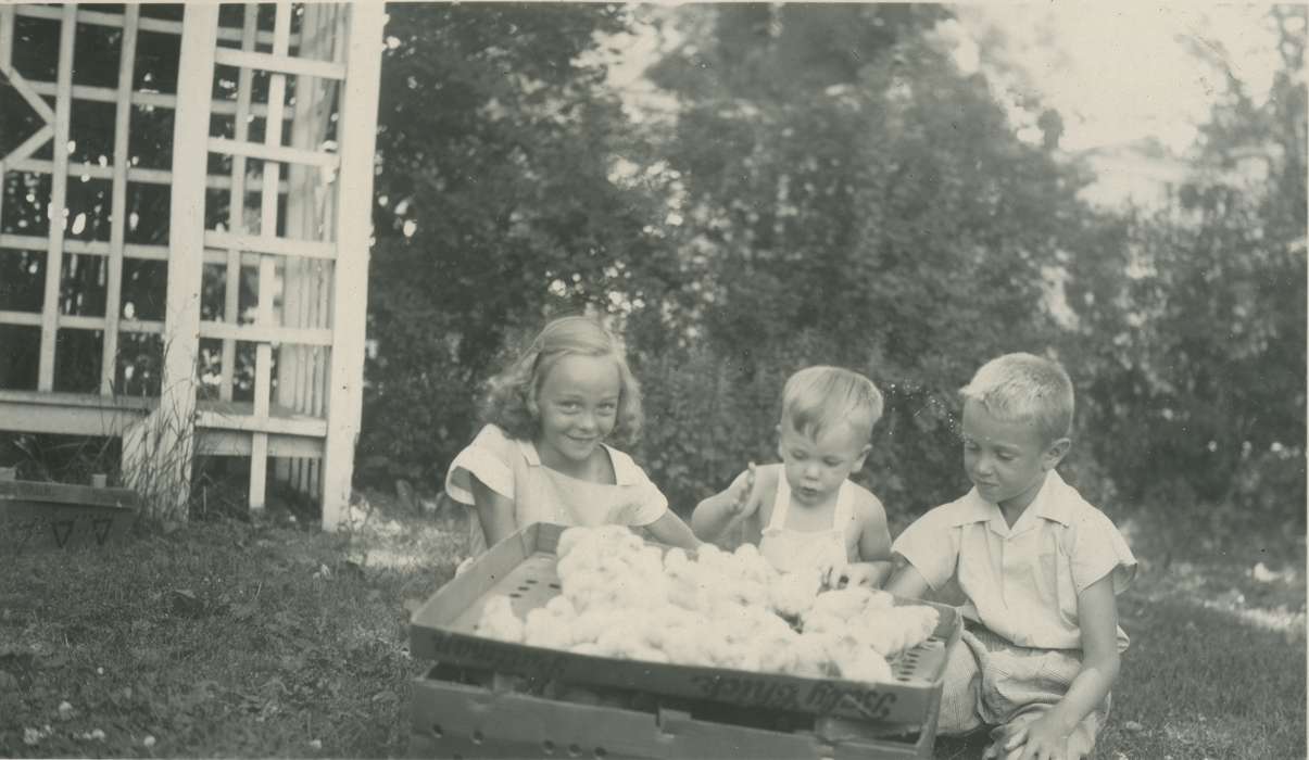 chicks, history of Iowa, Iowa History, girl, Webster City, IA, Animals, Iowa, boy, McMurray, Doug, sibling, Children