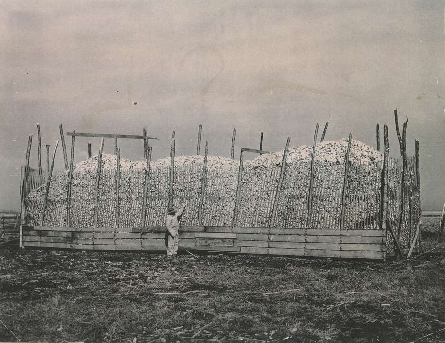 corn crib, farmer, Farming Equipment, history of Iowa, Iowa History, Missouri Valley, IA, corn, Iowa, Henderson, Dan, Farms