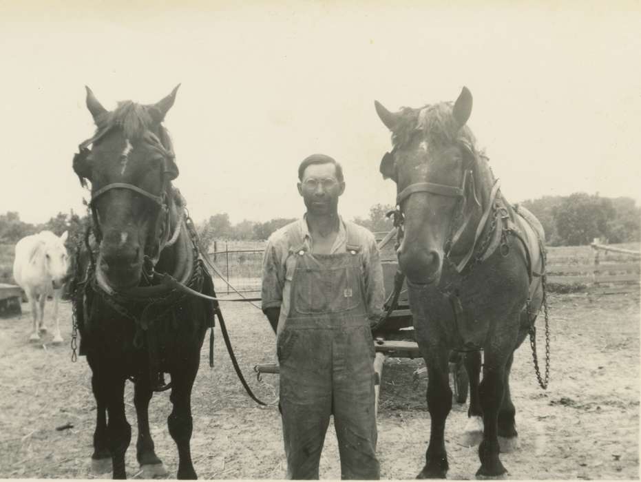 Iowa, Animals, Smith, Diane, Portraits - Individual, horses, Eddyville, IA, history of Iowa, Iowa History, wagon