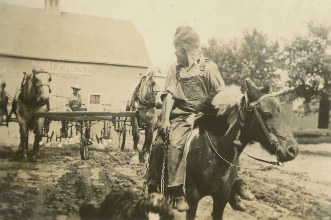 Portraits - Group, Farming Equipment, horseback riding, Mortenson, Jill, Families, Barns, Animals, field, brothers, hillcrest, boys, horse drawn, cultivator, horses, horse, history of Iowa, Iowa History, barn, Macey, IA, overalls, plow, Iowa, Farms, Children, dog