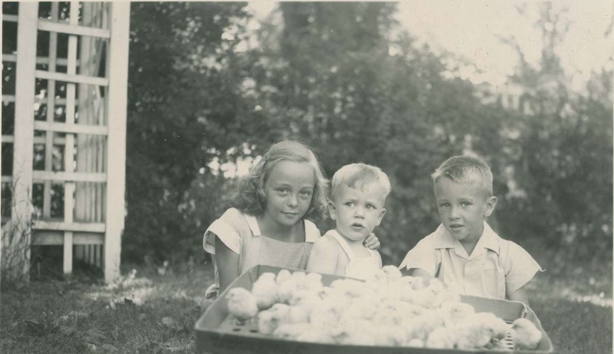 Animals, Iowa History, Iowa, chicks, McMurray, Doug, Webster City, IA, Children, history of Iowa