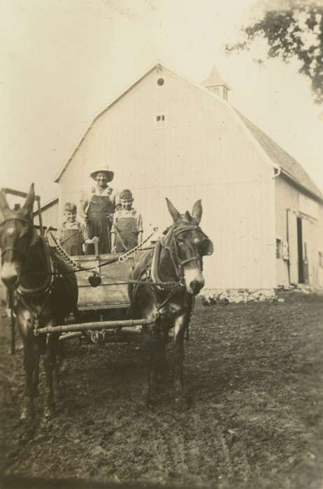 Portraits - Group, mule, Macey, IA, Iowa, Animals, kids, Children, Barns, Farms, man, history of Iowa, Iowa History, Mortenson, Jill