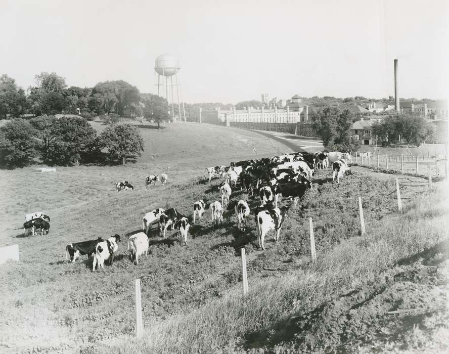 history of Iowa, Iowa History, anamosa state penitentiary, Animals, Prisons and Criminal Justice, Anamosa State Penitentiary Museum, limestone, water tower, Iowa, fence, Anamosa, IA, Farms, cow