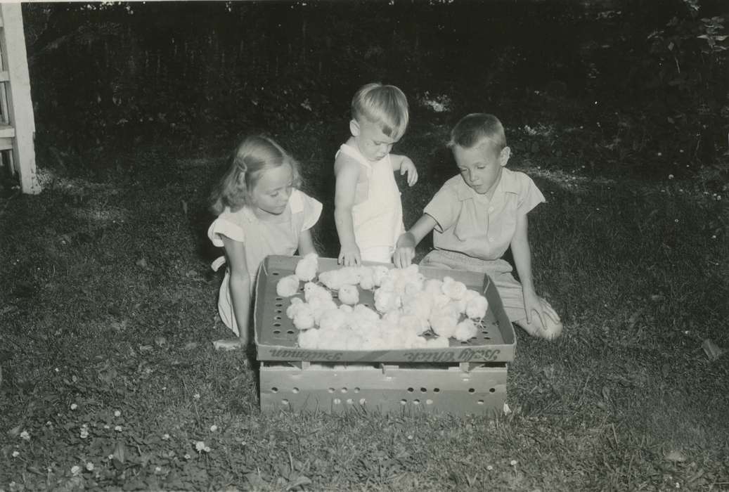 Animals, Iowa History, Iowa, chicks, McMurray, Doug, Webster City, IA, Children, history of Iowa