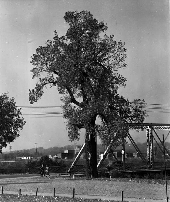 Cities and Towns, Iowa History, Lakes, Rivers, and Streams, tree, Iowa, Lemberger, LeAnn, Ottumwa, IA, history of Iowa