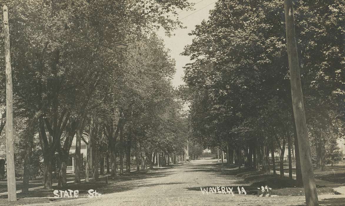 trees, Landscapes, horse drawn, Iowa, Meyer, Sarah, Homes, history of Iowa, dirt road, Cities and Towns, utility pole, Waverly, IA, Main Streets & Town Squares, Iowa History, wagon