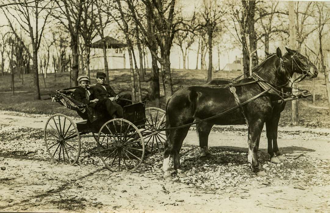 Portraits - Group, history of Iowa, Iowa History, horse and buggy, Animals, Anamosa Library & Learning Center, Iowa, Anamosa, IA, horse