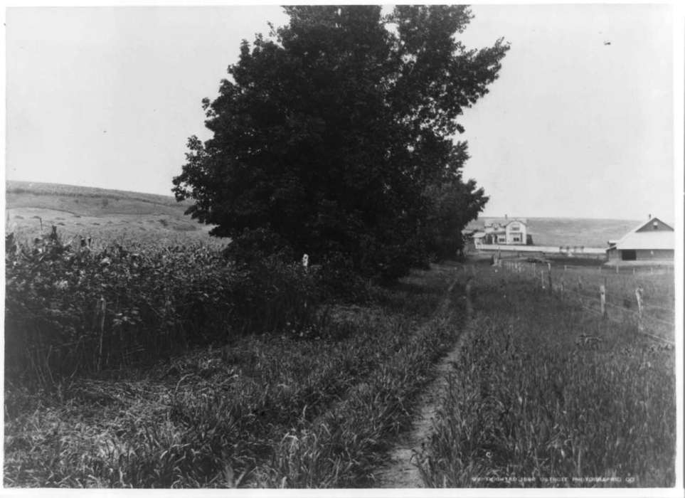 history of Iowa, Iowa History, Library of Congress, country, foliage, overgrown, grass, Iowa, rural, Homes, Farms