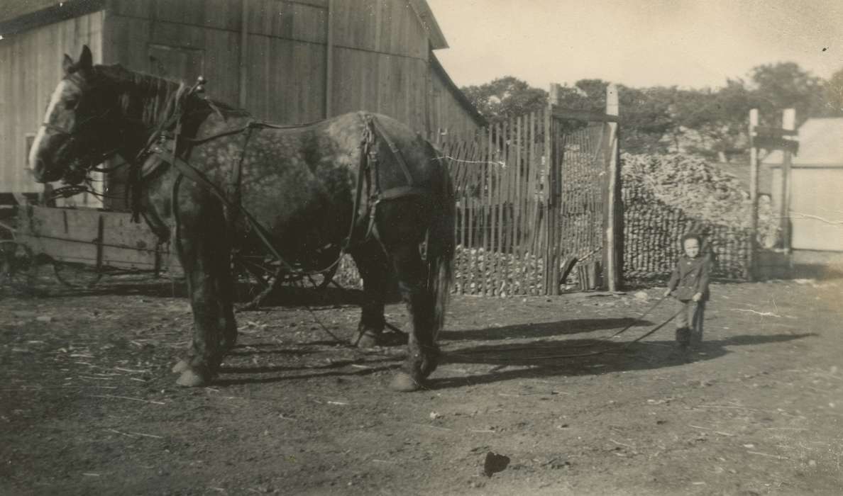 Iowa, Animals, Rudd, IA, Children, horses, Wickwire (Uker), Cheryl, Farms, history of Iowa, Iowa History