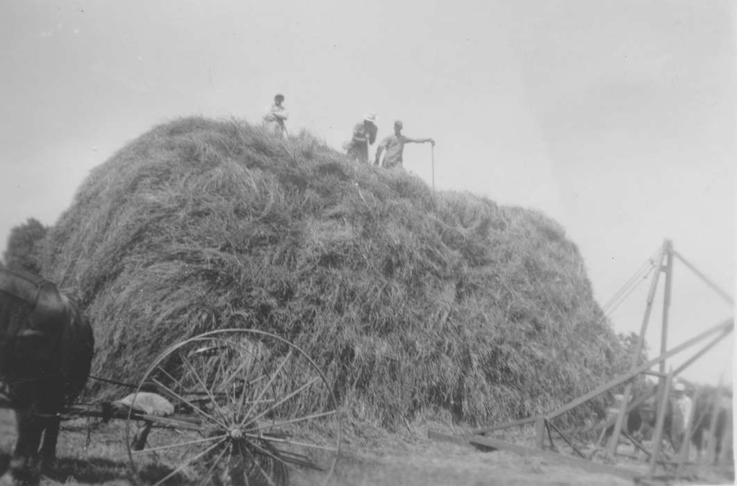 Iowa History, Belmond, IA, Iowa, Labor and Occupations, Mickelson, Rose, hay, Farms, Farming Equipment, history of Iowa