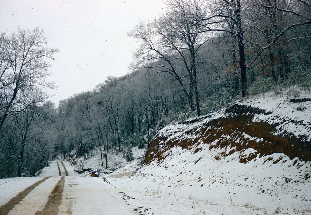 forest, history of Iowa, Iowa History, Harken, Nichole, Winter, dirt road, Iowa, Landscapes, snow