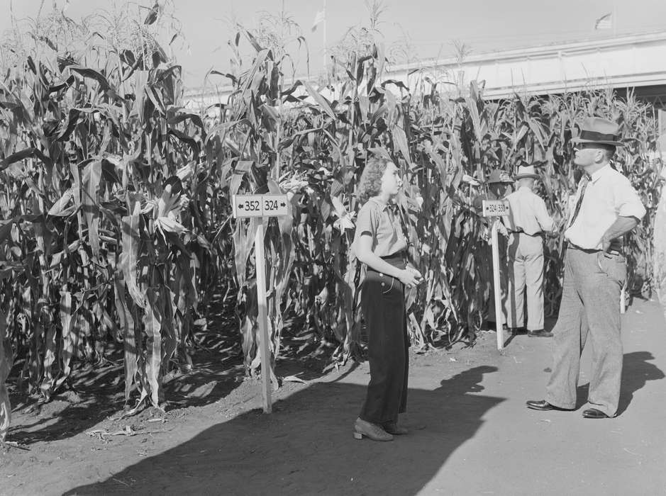 history of Iowa, Iowa History, Library of Congress, corn, Fairs and Festivals, crops, fashion, Iowa, Farms, dirt, hat