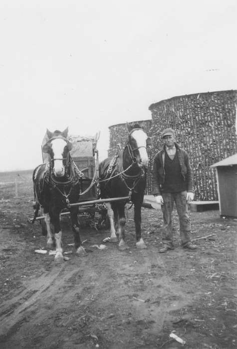 farmer, Farming Equipment, history of Iowa, Iowa History, Mickelson, Rose, corn, Animals, Iowa, Belmond, IA, Farms, horse