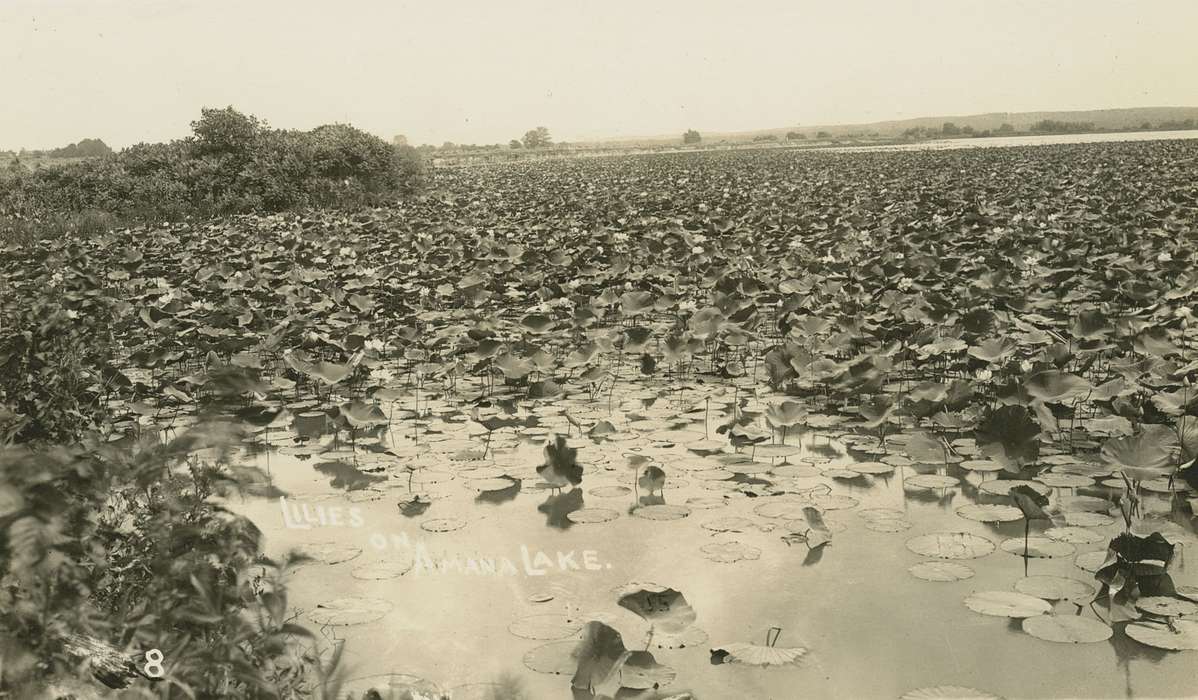 lake, history of Iowa, Iowa History, Lakes, Rivers, and Streams, Amana, IA, plants, Iowa, Palczewski, Catherine