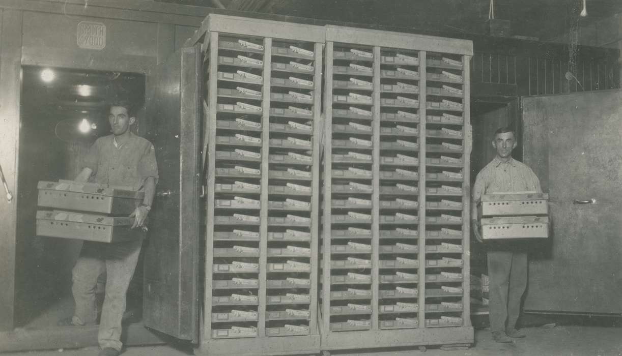 history of Iowa, hatchery, Iowa History, Webster City, IA, Businesses and Factories, Iowa, McMurray, Doug, Labor and Occupations