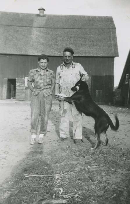 Animals, Iowa History, La Porte City, IA, Iowa, dog, Farms, Holderness, Tammy, Barns, history of Iowa