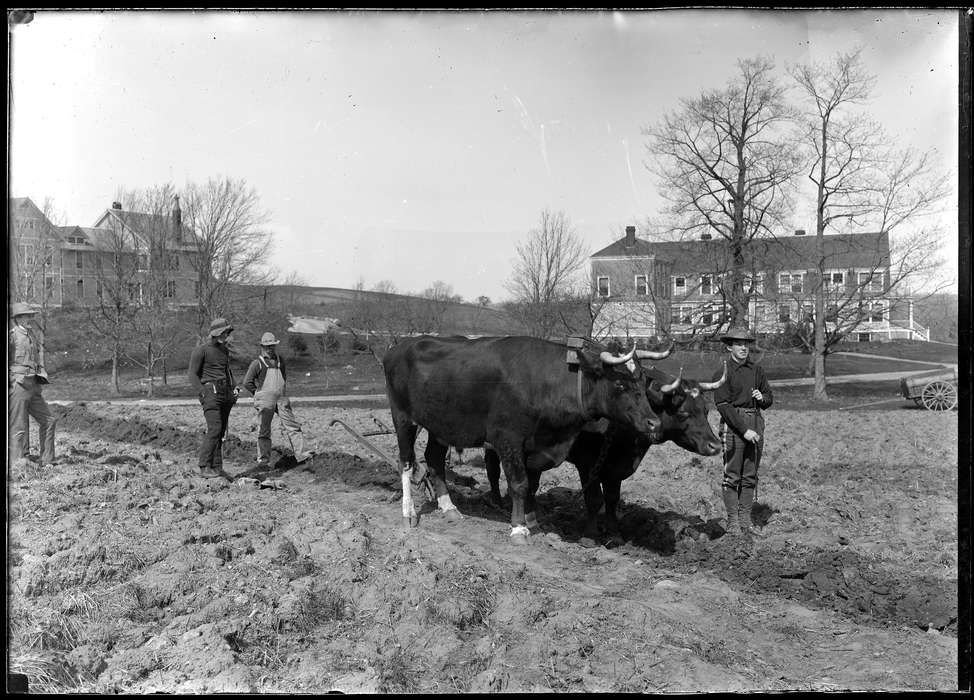 Archives & Special Collections, University of Connecticut Library, Iowa, Storrs, CT, history of Iowa, Iowa History