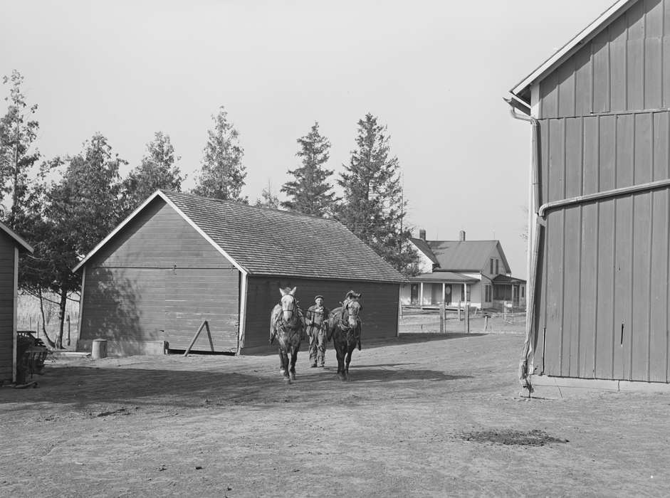 Animals, farmhouse, Barns, history of Iowa, horses, Library of Congress, Iowa, Farming Equipment, downspout, horse, Iowa History, Farms