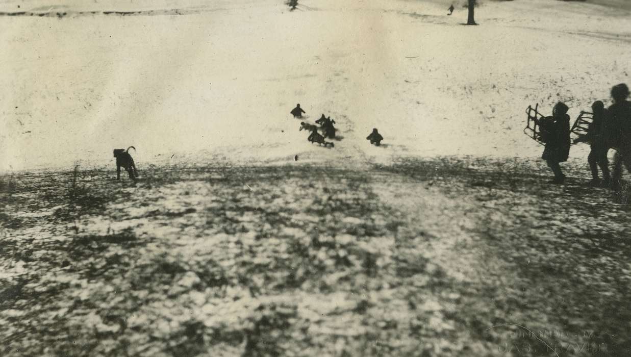boy scouts, sled, history of Iowa, Iowa History, Winter, Webster City, IA, Animals, Iowa, Outdoor Recreation, McMurray, Doug, Children, dog