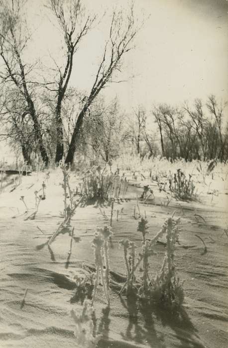 Iowa History, frost, King, Tom and Kay, Iowa, IA, history of Iowa, snow, Landscapes, Winter