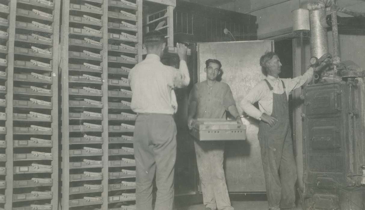 chicks, history of Iowa, hatchery, Iowa History, Webster City, IA, Businesses and Factories, Iowa, McMurray, Doug, Labor and Occupations