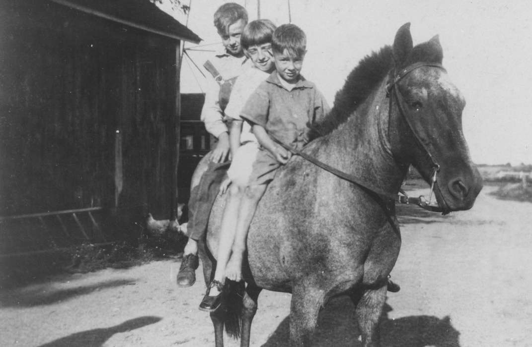 bridle, Farms, Barns, Animals, Iowa, Portraits - Group, Eldridge, IA, ladder, Outdoor Recreation, Feeney, Mary, barefoot, overalls, history of Iowa, girl, pony, boy, chicken, Children, horse, barn, Iowa History, Leisure