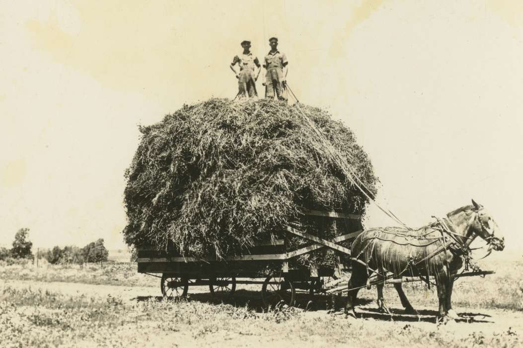 Portraits - Group, history of Iowa, Iowa History, Mortenson, Jill, Macey, IA, Animals, hay, wagon, Iowa, Farms, horse, Labor and Occupations