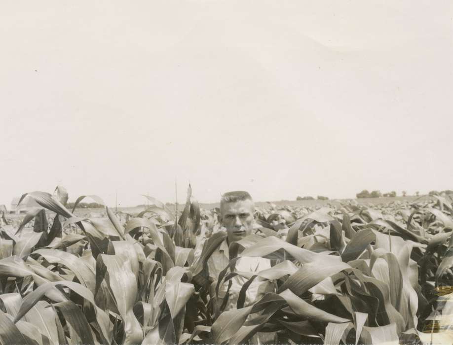 history of Iowa, Portraits - Individual, IA, Iowa History, Clark, Paula, corn, Iowa, hairstyle, Farms, cornfield, crewcut