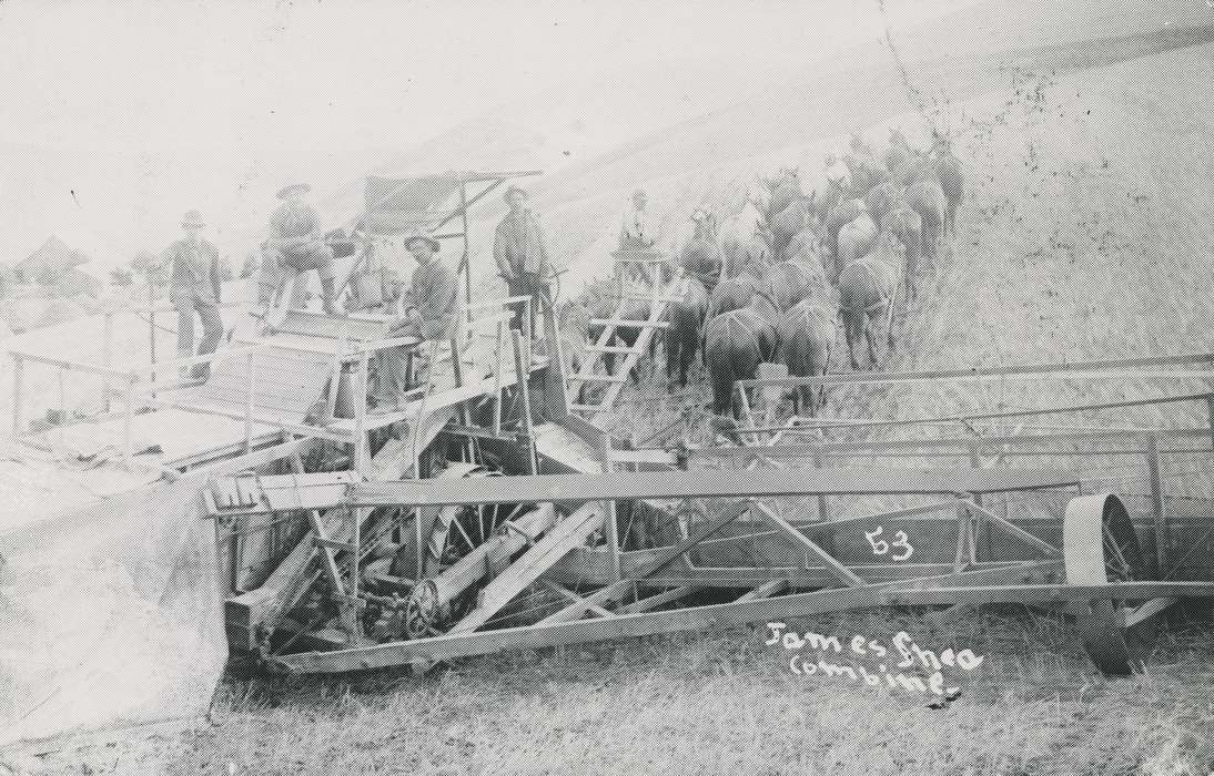 combine, history of Iowa, Portraits - Group, Waverly Public Library, horse drawn, Iowa, Farming Equipment, Bremer County, IA, Farms, Iowa History, Animals, Labor and Occupations