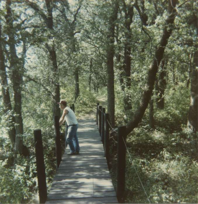 forest, bridge, history of Iowa, IA, Iowa History, Clark, Paula, path, Iowa, Outdoor Recreation, Leisure