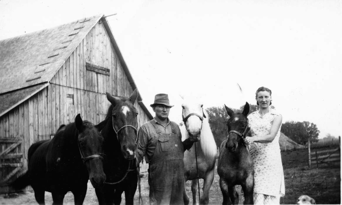 Portraits - Group, Carroll, IA, Heuton, Paul H., Iowa, horse, Barns, Farms, history of Iowa, Iowa History