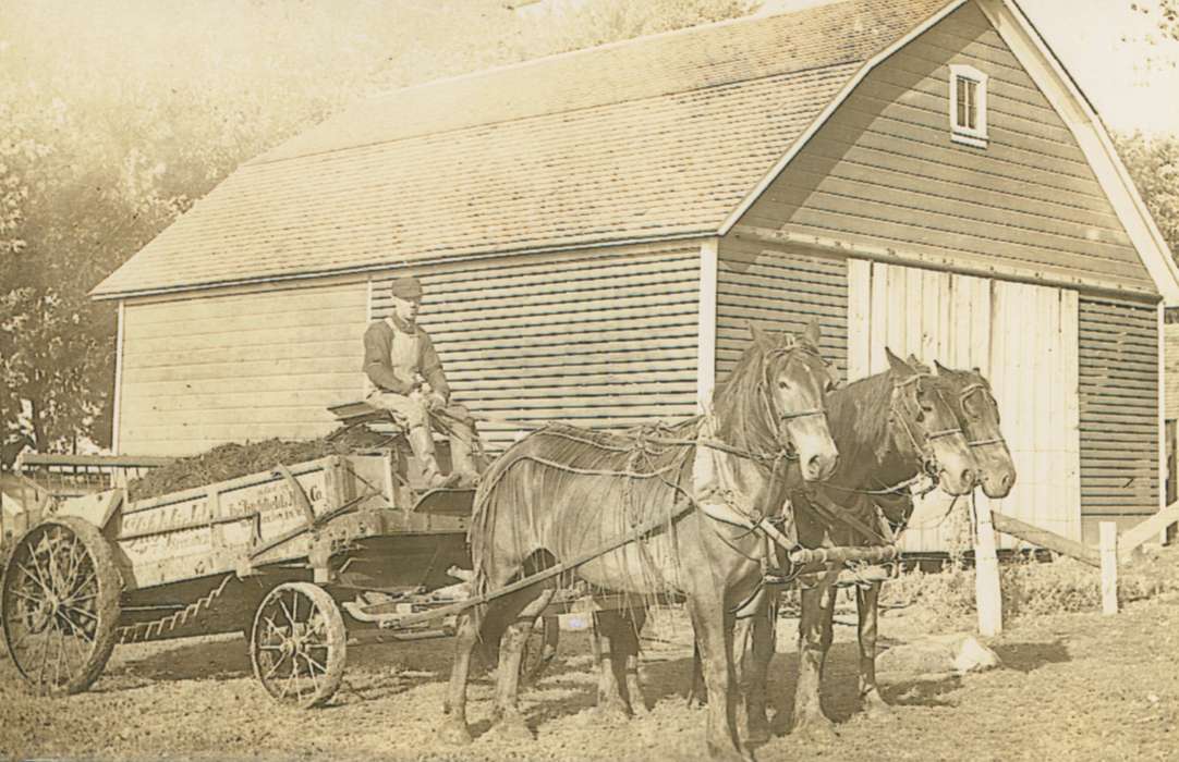 Iowa, Animals, horse, barn, farmer, Barns, Portraits - Individual, Farming Equipment, Farms, Mountain, Carole, Raymond, IA, history of Iowa, Iowa History, wagon