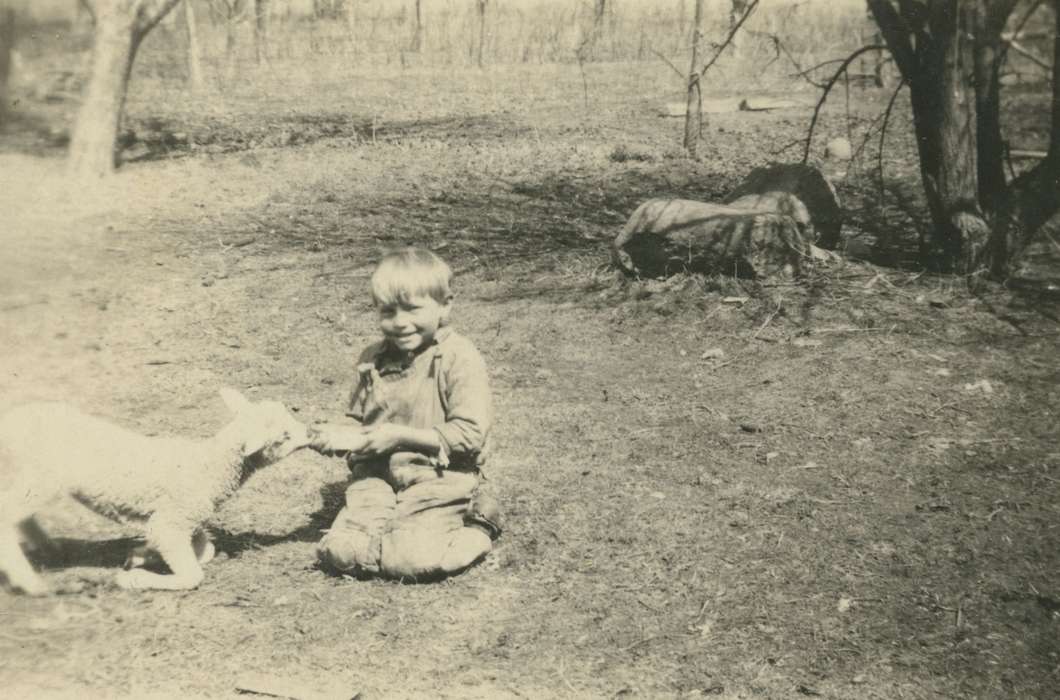 lamb, Iowa History, sheep, Iowa, history of Iowa, Animals, Marvets, Peggy, IA