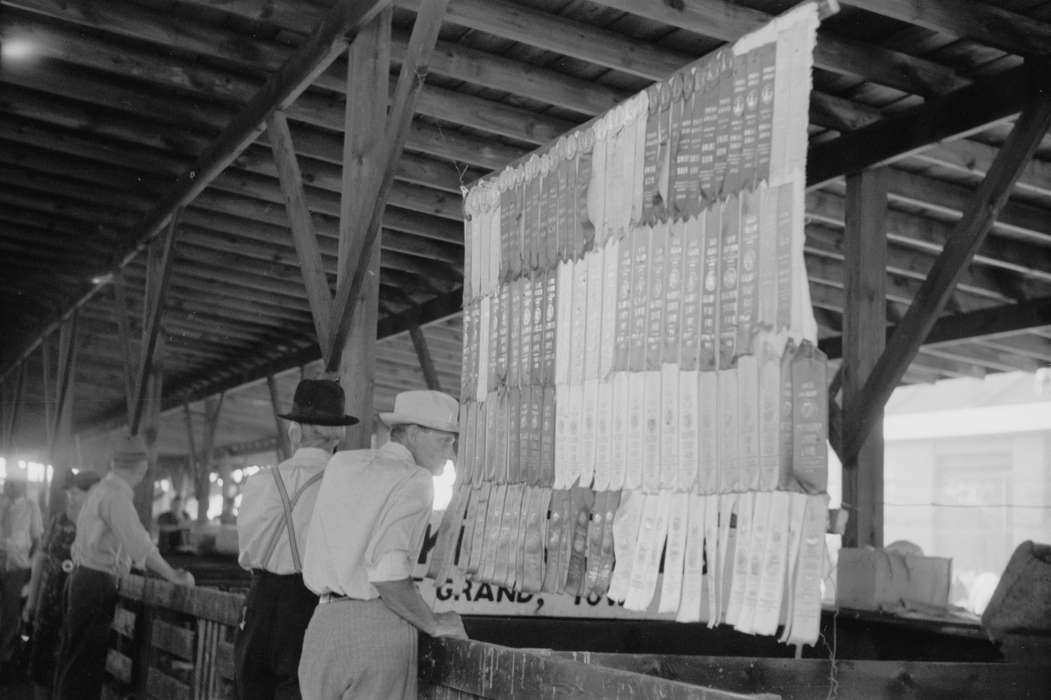 Fairs and Festivals, competition, pen, ribbon, Library of Congress, history of Iowa, hat, pens, Barns, Iowa, livestock, Iowa History