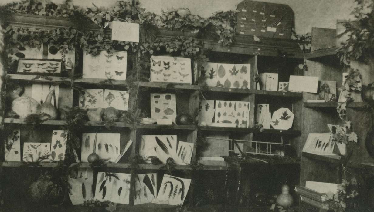 boy scouts, history of Iowa, Iowa History, Webster City, IA, insect collections, Iowa, Schools and Education, McMurray, Doug
