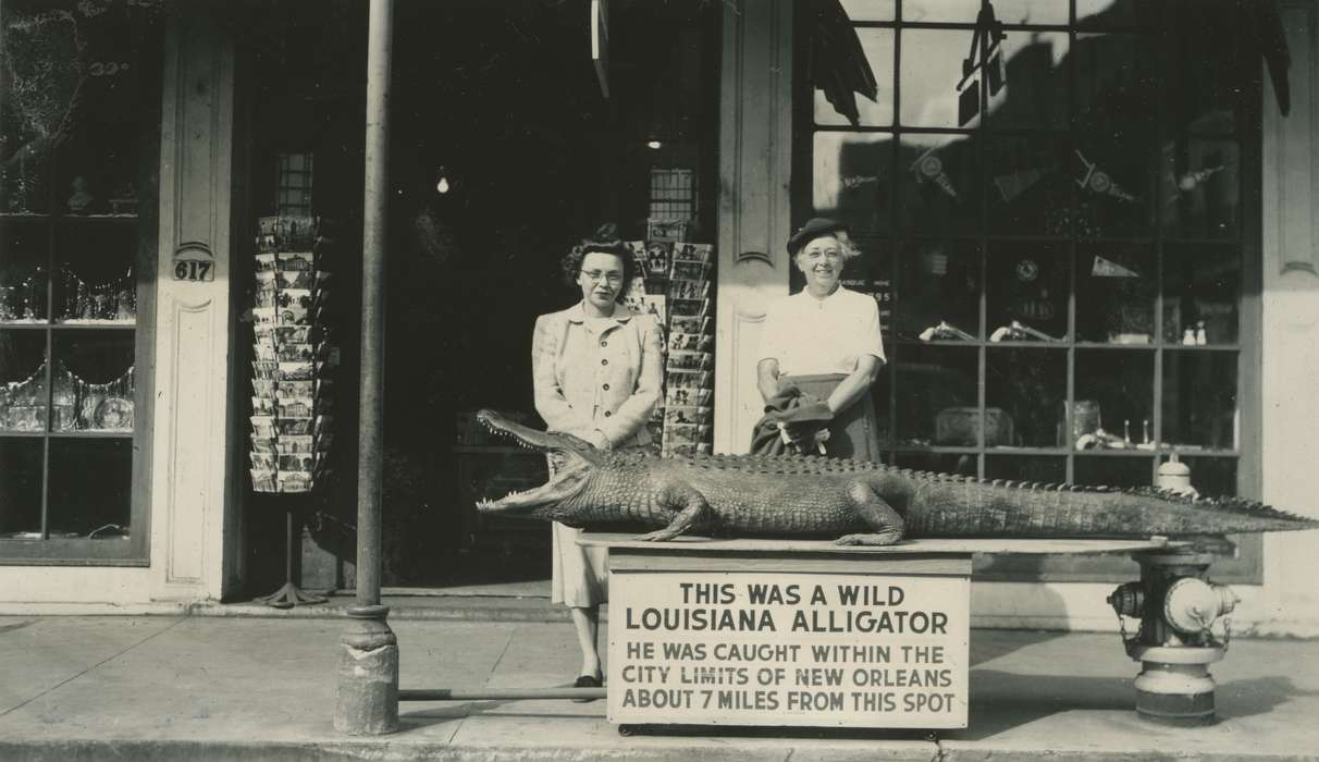 Portraits - Group, Animals, Iowa History, Iowa, taxidermy, McMurray, Doug, New Orleans, LA, Travel, alligator, history of Iowa