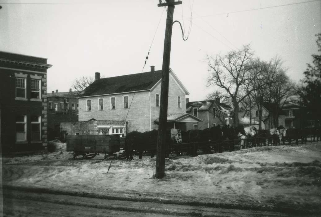 Cities and Towns, Animals, Winter, Homes, school house, Waverly Public Library, vfw, wrc, history of Iowa, home, Iowa, horse, Iowa History, winter, Waverly, IA