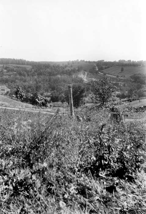 view, Iowa History, history of Iowa, Lemberger, LeAnn, Stone City, IA, Iowa, Landscapes, hill, stone city art colony