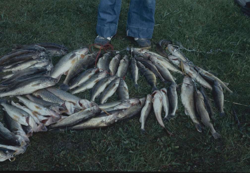 Animals, Iowa History, Iowa, Zischke, Ward, IA, blue jeans, history of Iowa, fish