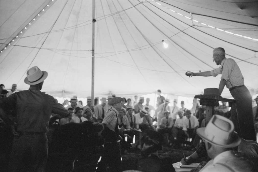 history of Iowa, Iowa History, calf, Library of Congress, auction, Animals, Fairs and Festivals, tent, calves, Iowa, livestock, cow