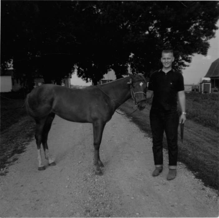 Animals, Portraits - Individual, Iowa History, Iowa, Glidden, IA, horse, Heuton, Paul H., history of Iowa