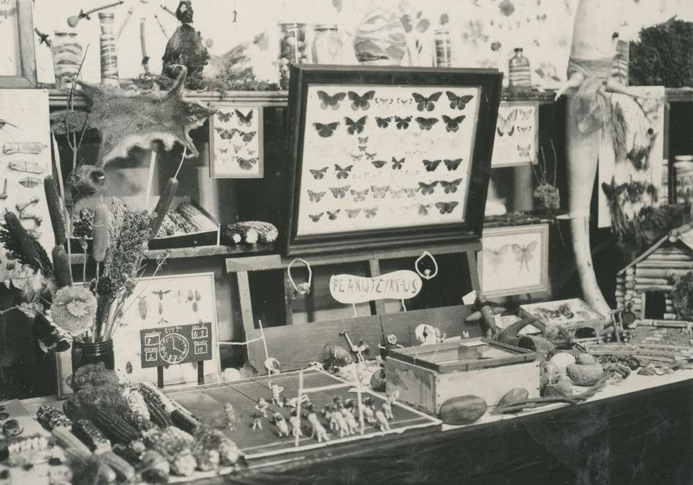 boy scouts, history of Iowa, Iowa History, Webster City, IA, insect collections, Iowa, Outdoor Recreation, McMurray, Doug