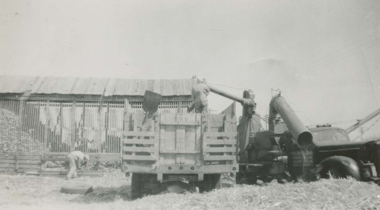 corn, Iowa History, Bode, IA, Iowa, Ostrum (Bratland), Arlene, Labor and Occupations, Farms, Farming Equipment, history of Iowa