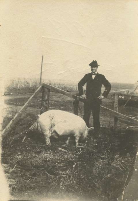 history of Iowa, Iowa History, Mortenson, Jill, barbed wire, Macey, IA, pig, Animals, wooden fence, hog, Iowa, Farms, Portraits - Individual